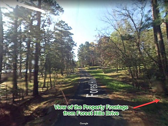4th image of 317 Loper Lake Dr