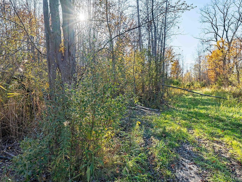 0 S Forest Ave, photo 15
