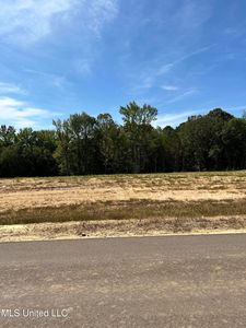 9 Pebble View Dr #9, Byhalia, MS, 38611