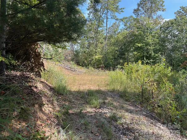 25 W Keesler St, Black Mountain, NC 28711