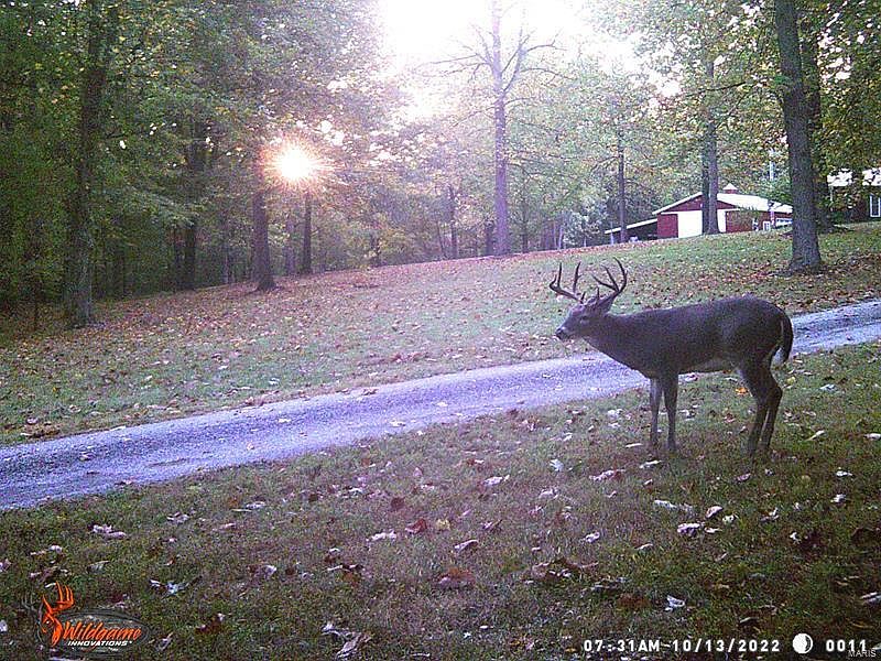 25065 Rock Springs Hollow Rd, Thebes, IL 62990 MLS 23018402 Zillow