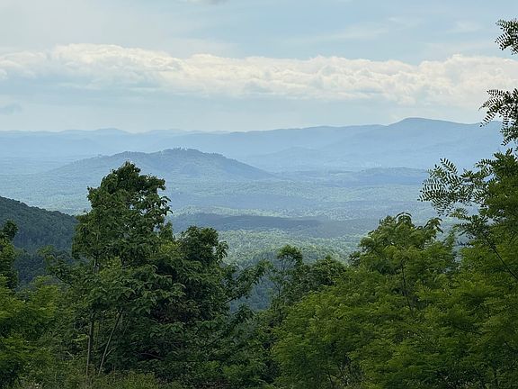 views from road through subdivision