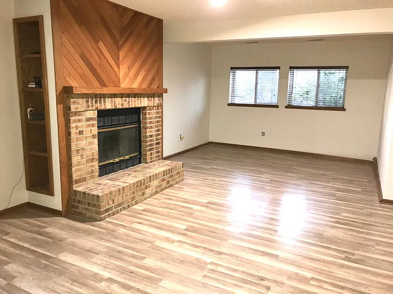 Lower Level Family Room