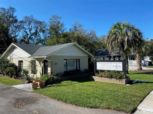911 N DONNELLY STREET, MOUNT DORA, FL 32757