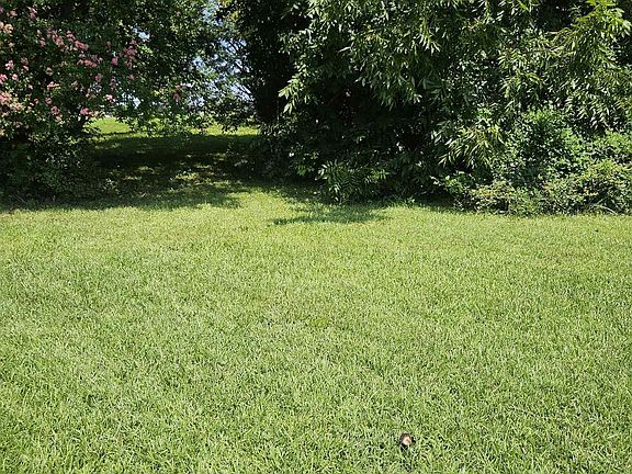 5th image of 902 Vine St NW