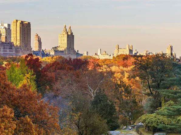 110 Central Park South image 4 of 18