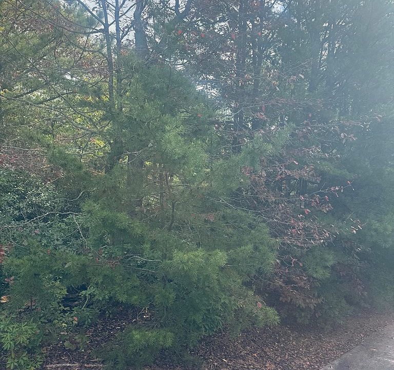 2nd image of LOT 16 Brown Hawk Dr