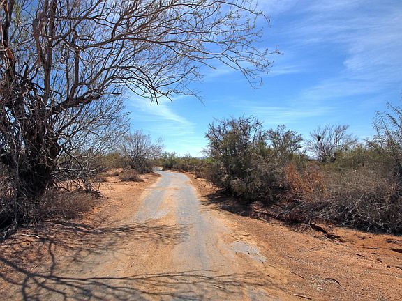 Quail Track5