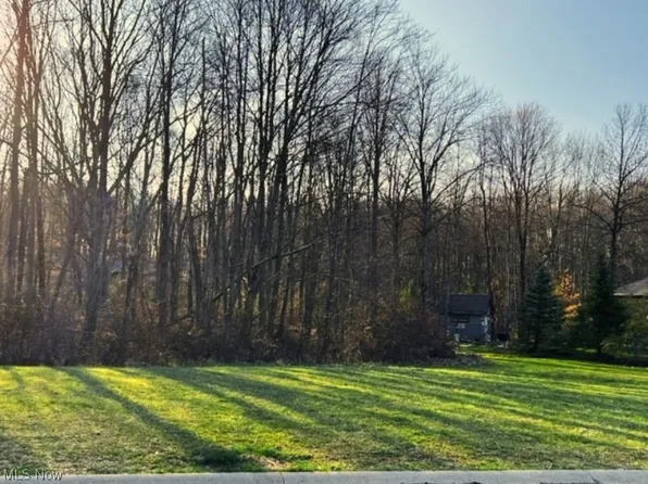 Birchmont Ave SW, Canton, OH 44706