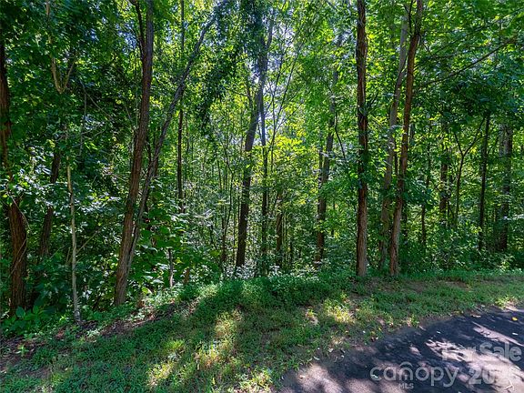 5th image of 0 Harm Creek Loop #2142