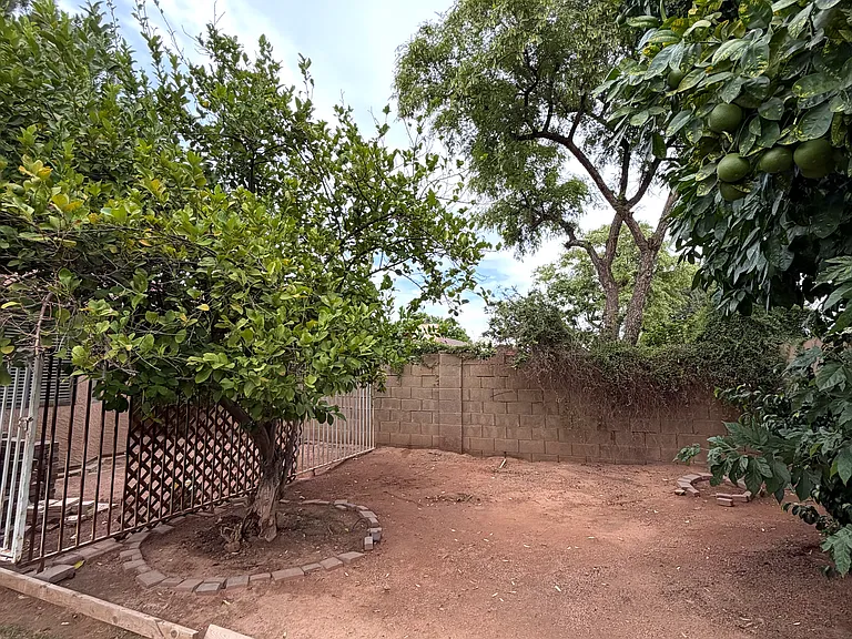5717 E Evergreen St — Photo 19