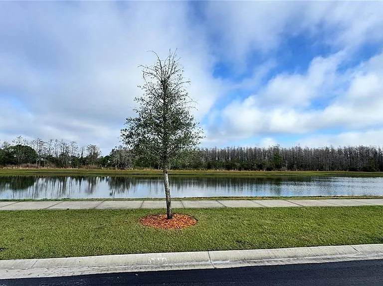3182 Eagle Hammock Cir — Photo 11