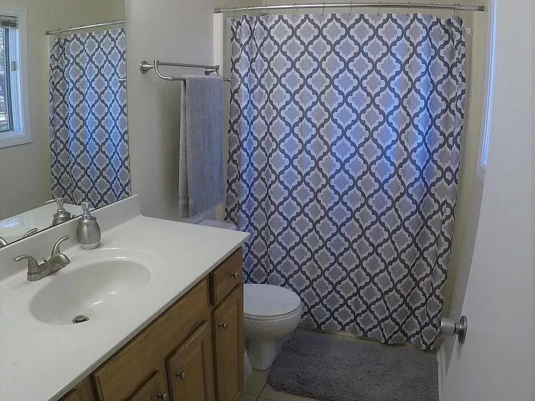 Master suite bathroom
