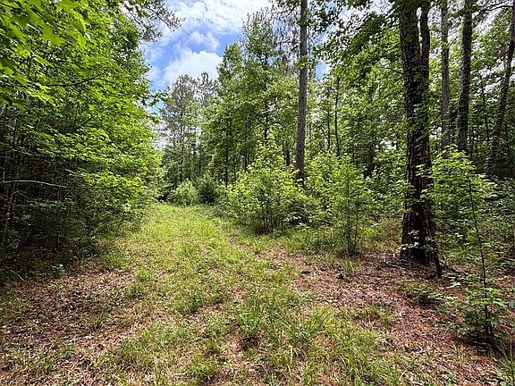 2nd image of 0 Peyton Ln