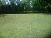 3rd image of 1544 NE 39th St