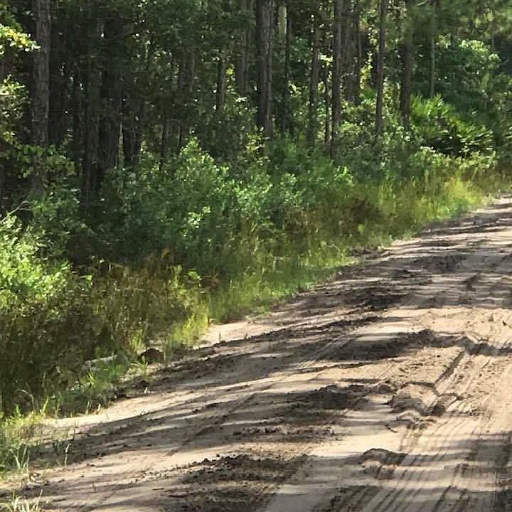 2nd image of 00 Jones Creek Rd