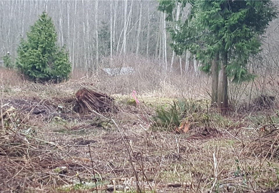 2nd image of 0 xxx Buck Lake Road