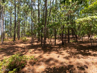 106 Brendell Court, West End, NC, 27376