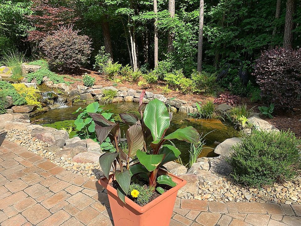 Koi pond