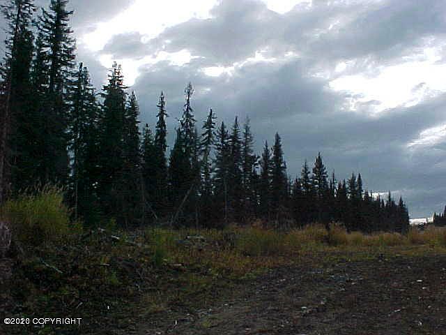 2nd image of L38 Stacey