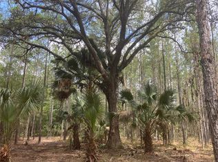 NE 100th Ave, Fort Mc Coy, FL 32134