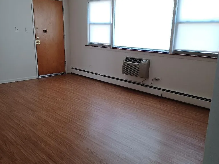 1244 W 87th St #2A — Photo 4