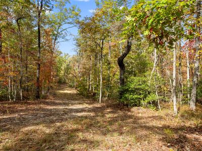 494 Old Bear Ln, Mountain Rest, SC, 29664