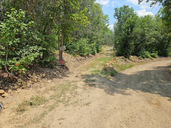 29 E Upper Birch Creek Dr S, Fairview, UT 84629