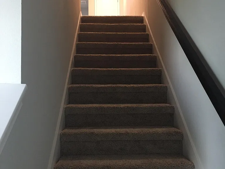 2503 Arbor Wind Dr — Photo 6