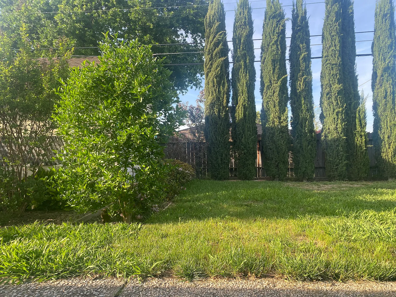 1124 Amberwood Rd photo 1
