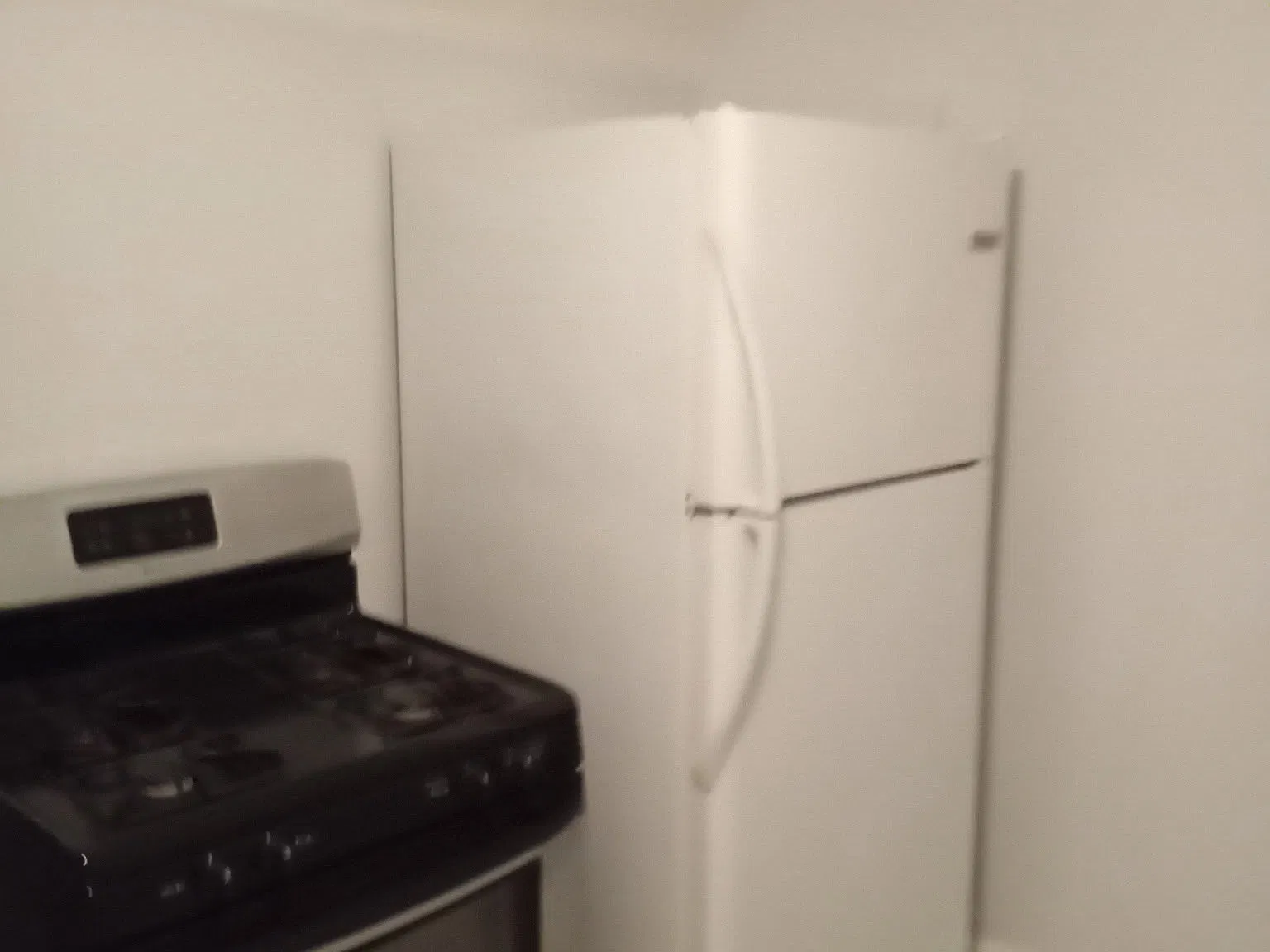 1 bed, 800 sqft, $700 — Photo 2