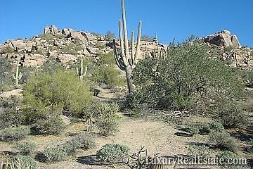 5th image of 27409 N 98th Pl