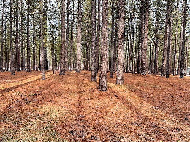 2nd image of 4955 Clio State 40a Rd