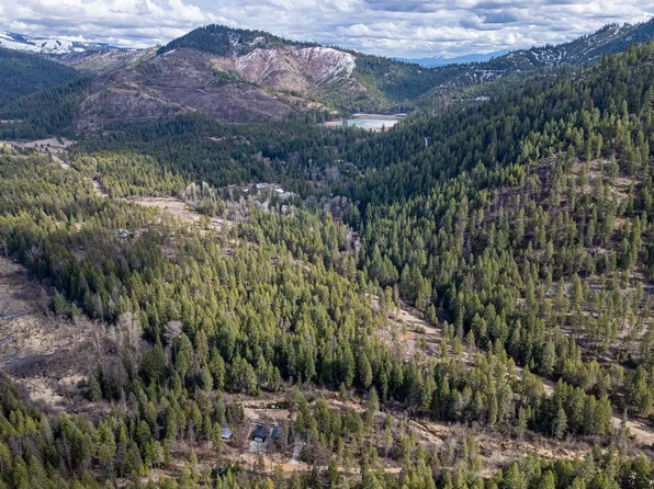 41XX Grouse Creek Rd, Loon Lake, WA 99148