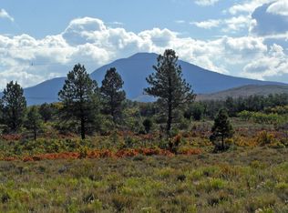 LOT 16-20 M44 Rd, Norwood, CO 81423