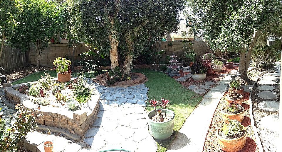 Artificial turf & succulents