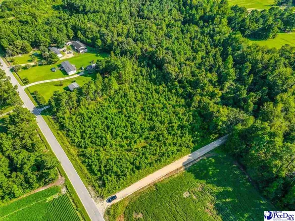 Willie Hodge Rd Lot 1, Mullins, SC 29574
