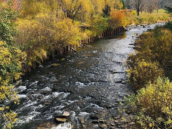 Beautiful stream for swimming and fishing