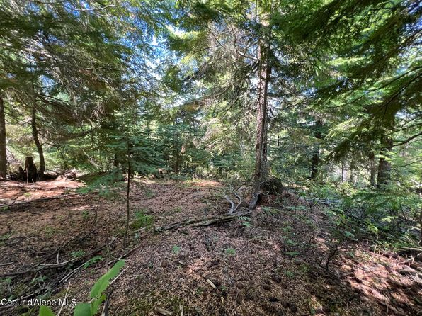 520 Alpine Dr, Fernwood, ID 83830