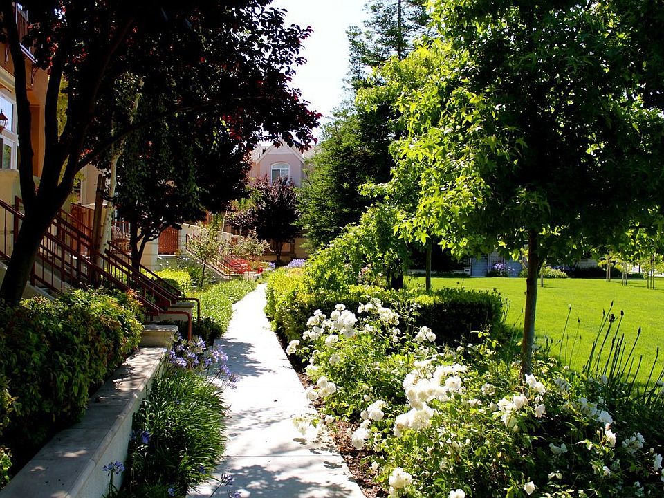 Front Walkway