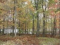 1st image of 83 Fawn Lake Dr