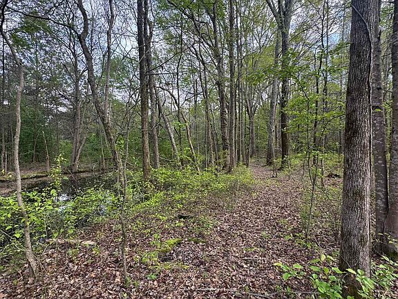 2nd image of LOT 9 County Road 496