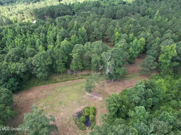 135 Joe Booth Rd, Taylorsville, MS 39168