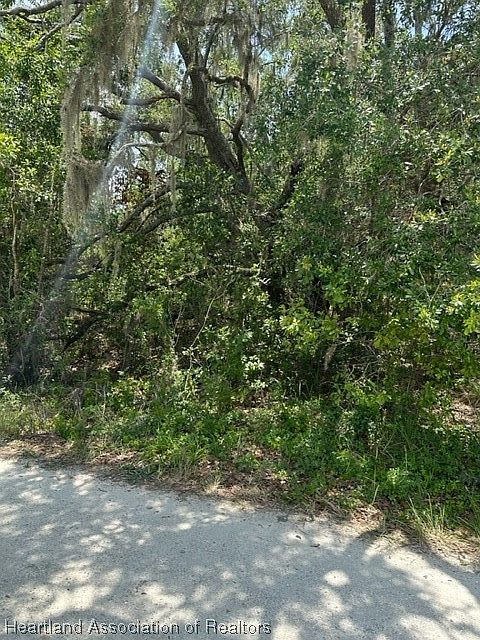 2nd image of 2521 Pine Needle Dr