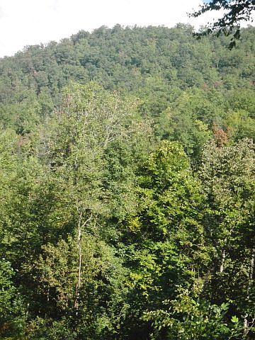 1st image of 139 Upper Dalton Creek Rd