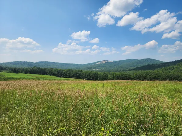 0 Sawyer Mountain Road, Limerick, ME 04048