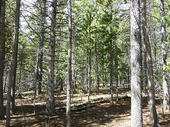 2nd image of 000 Lodgepole Drive