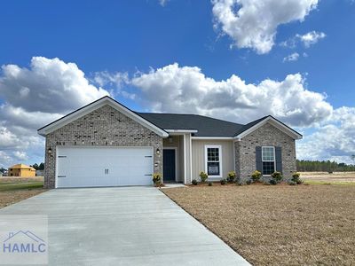 555 Doctors Creek Rd NE, Ludowici, GA, 31316
