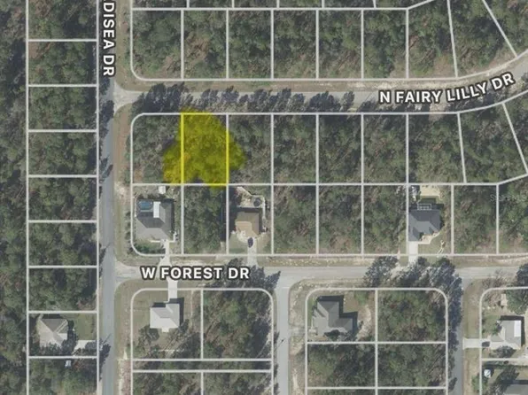 9317 N Fairy Lilly Dr Lot 17, Dunnellon, FL 34433