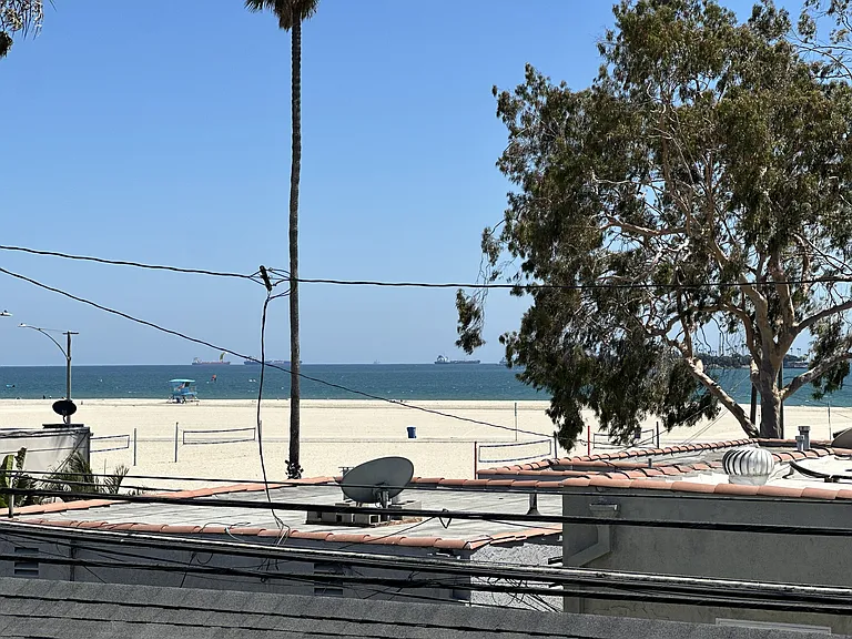 view from rooftop deck